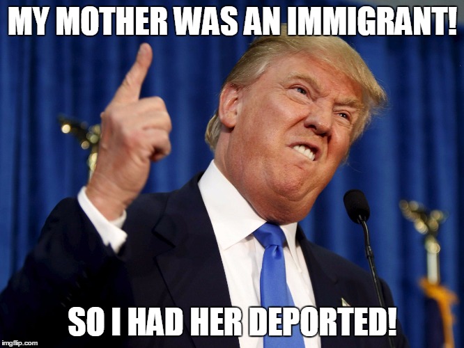 Herr Drumpf | MY MOTHER WAS AN IMMIGRANT! SO I HAD HER DEPORTED! | image tagged in herr drumpf,memes | made w/ Imgflip meme maker