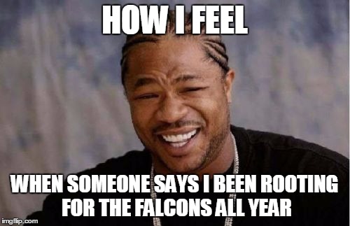 Yo Dawg Heard You Meme | HOW I FEEL; WHEN SOMEONE SAYS I BEEN ROOTING FOR THE FALCONS ALL YEAR | image tagged in memes,yo dawg heard you | made w/ Imgflip meme maker