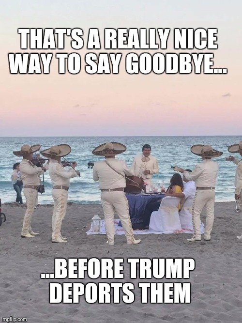 mariachi band beach | THAT'S A REALLY NICE WAY TO SAY GOODBYE... ...BEFORE TRUMP DEPORTS THEM | image tagged in mariachi band beach | made w/ Imgflip meme maker