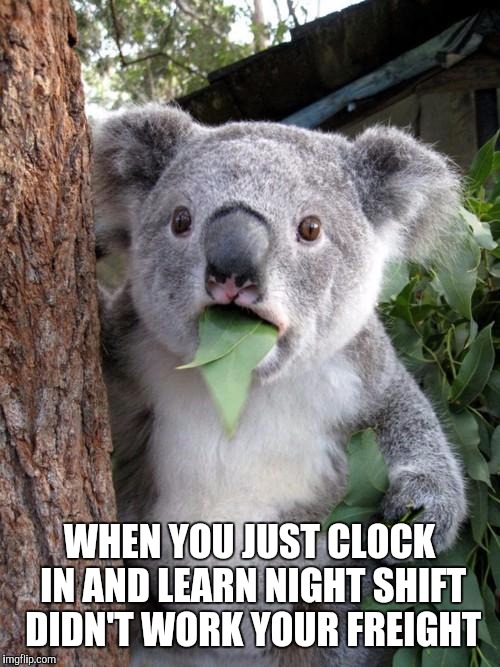 Surprised Koala | WHEN YOU JUST CLOCK IN AND LEARN NIGHT SHIFT DIDN'T WORK YOUR FREIGHT | image tagged in memes,surprised koala | made w/ Imgflip meme maker