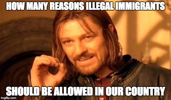 One Does Not Simply Meme | HOW MANY REASONS ILLEGAL IMMIGRANTS; SHOULD BE ALLOWED IN OUR COUNTRY | image tagged in memes,one does not simply | made w/ Imgflip meme maker