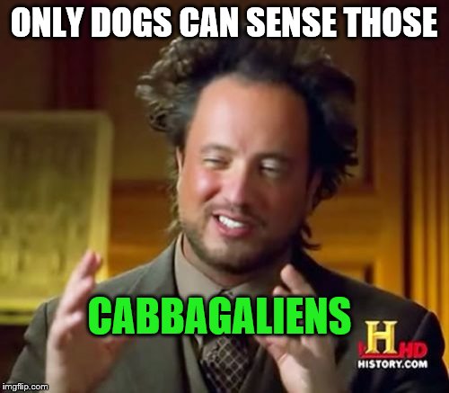 Ancient Aliens Meme | ONLY DOGS CAN SENSE THOSE CABBAGALIENS | image tagged in memes,ancient aliens | made w/ Imgflip meme maker