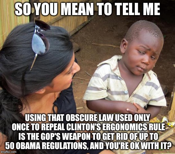 So you mean to tell me | SO YOU MEAN TO TELL ME; USING THAT OBSCURE LAW USED ONLY ONCE TO REPEAL CLINTON'S ERGONOMICS RULE IS THE GOP'S WEAPON TO GET RID OF UP TO 50 OBAMA REGULATIONS, AND YOU'RE OK WITH IT? | image tagged in so you mean to tell me | made w/ Imgflip meme maker