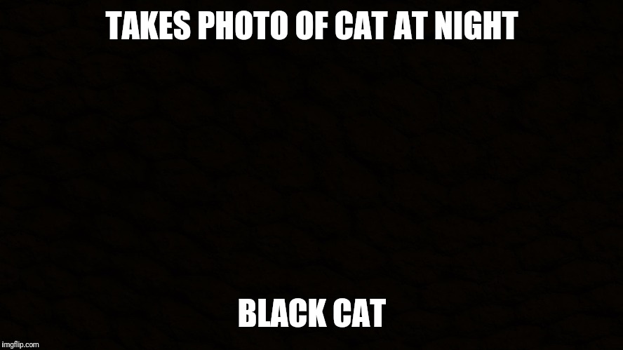 Bad luck Brian tries photography | TAKES PHOTO OF CAT AT NIGHT; BLACK CAT | image tagged in yay kitty | made w/ Imgflip meme maker
