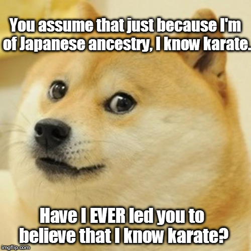 An actual quote from George Takei in an episode of Futurama | You assume that just because I'm of Japanese ancestry, I know karate. Have I EVER led you to believe that I know karate? | image tagged in memes,doge,george takei,futurama,star trek,captain kirk | made w/ Imgflip meme maker