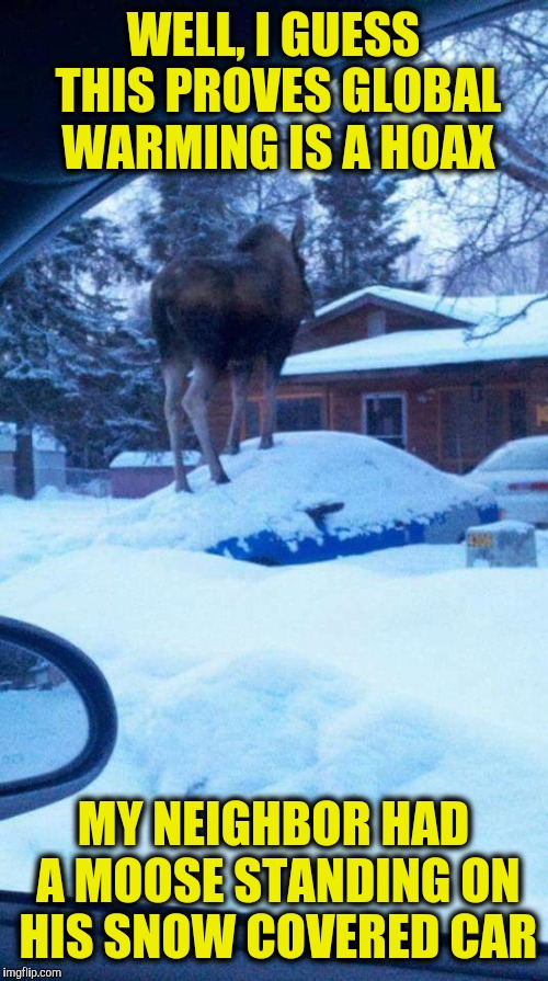 Sarcasm mode on: full throttle | WELL, I GUESS THIS PROVES GLOBAL WARMING IS A HOAX; MY NEIGHBOR HAD A MOOSE STANDING ON HIS SNOW COVERED CAR | image tagged in climate change,global warming,moose,winter,snow | made w/ Imgflip meme maker