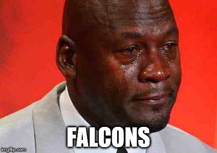 crying michael jordan | FALCONS | image tagged in crying michael jordan,patriots,falcon,superbowl | made w/ Imgflip meme maker
