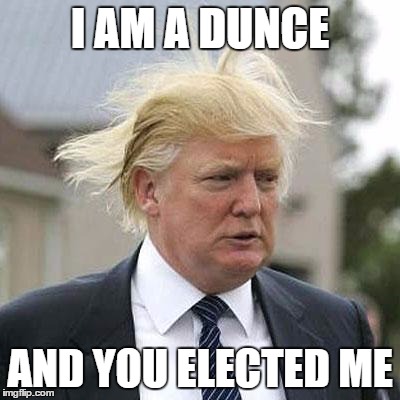 Donald Trump | I AM A DUNCE; AND YOU ELECTED ME | image tagged in donald trump | made w/ Imgflip meme maker