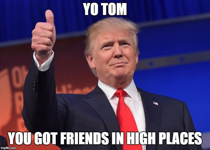 donald trump | YO TOM; YOU GOT FRIENDS IN HIGH PLACES | image tagged in donald trump | made w/ Imgflip meme maker