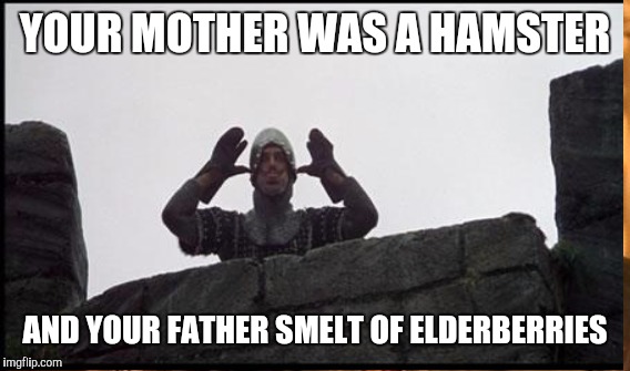 YOUR MOTHER WAS A HAMSTER AND YOUR FATHER SMELT OF ELDERBERRIES | made w/ Imgflip meme maker