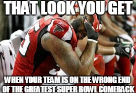 Sad Falcons | THAT LOOK YOU GET; WHEN YOUR TEAM IS ON THE WRONG END OF THE GREATEST SUPER BOWL COMEBACK | image tagged in atlanta falcons,super bowl 51 | made w/ Imgflip meme maker