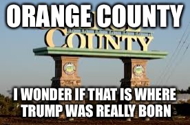 Trumps true birthplace | ORANGE COUNTY; I WONDER IF THAT IS WHERE TRUMP WAS REALLY BORN | image tagged in orange county,trump,idk lol | made w/ Imgflip meme maker