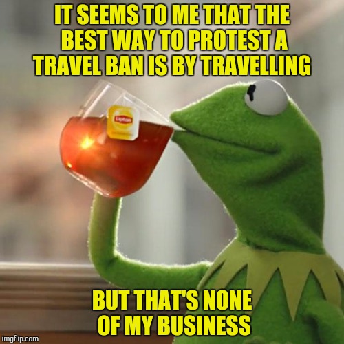 Dear Iran, here are some protesters.  Don't worry about vetting them, they've  promised that they're peaceful. | IT SEEMS TO ME THAT THE BEST WAY TO PROTEST A TRAVEL BAN IS BY TRAVELLING; BUT THAT'S NONE OF MY BUSINESS | image tagged in memes,but thats none of my business,kermit the frog,protesters | made w/ Imgflip meme maker