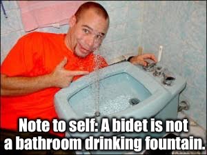 Bidet | Note to self: A bidet is not a bathroom drinking fountain. | image tagged in memes | made w/ Imgflip meme maker