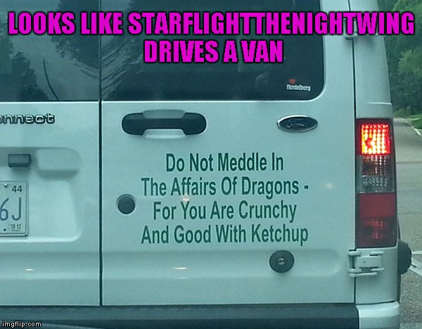 What can I say, when I saw this image I immediately thought of the dragon kid... | LOOKS LIKE STARFLIGHTTHENIGHTWING DRIVES A VAN | image tagged in signs,memes,dragon affairs,funny,starflightthenightwing,dragon | made w/ Imgflip meme maker