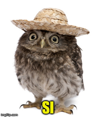 Si means hoot in Spanish