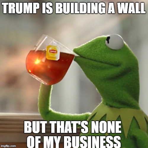 But That's None Of My Business Meme | TRUMP IS BUILDING A WALL; BUT THAT'S NONE OF MY BUSINESS | image tagged in memes,but thats none of my business,kermit the frog | made w/ Imgflip meme maker