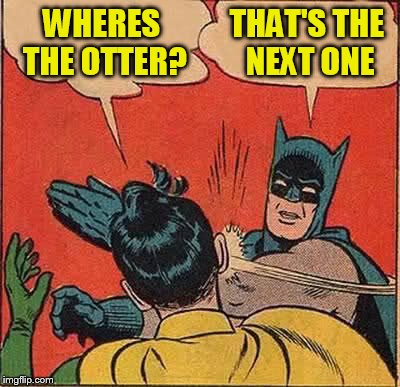 Batman Slapping Robin Meme | WHERES THE OTTER? THAT'S THE NEXT ONE | image tagged in memes,batman slapping robin | made w/ Imgflip meme maker