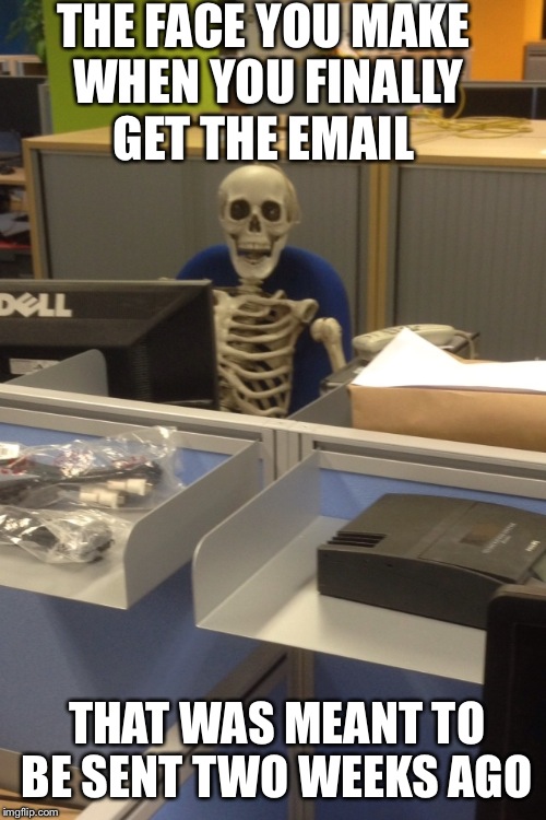 THE FACE YOU MAKE WHEN YOU FINALLY GET THE EMAIL; THAT WAS MEANT TO BE SENT TWO WEEKS AGO | image tagged in memes,still waiting,skeleton,email | made w/ Imgflip meme maker