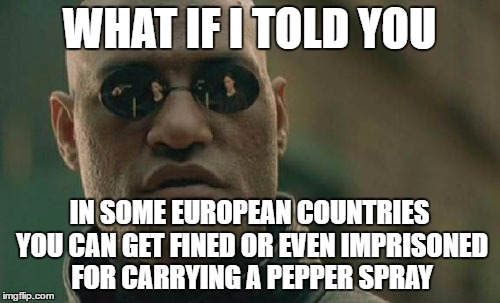 Matrix Morpheus Meme | WHAT IF I TOLD YOU IN SOME EUROPEAN COUNTRIES YOU CAN GET FINED OR EVEN IMPRISONED FOR CARRYING A PEPPER SPRAY | image tagged in memes,matrix morpheus | made w/ Imgflip meme maker