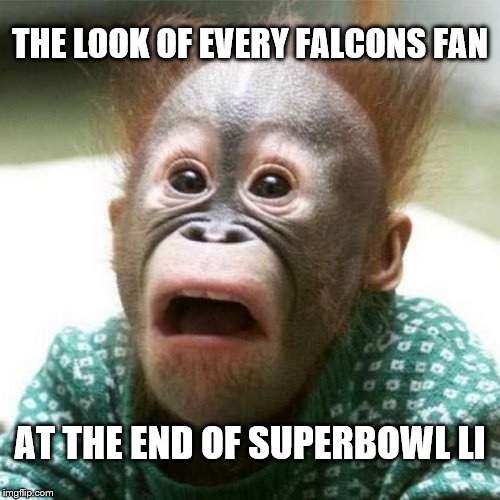 Amazing Win by the New England Patriots in Overtime... | THE LOOK OF EVERY FALCONS FAN; AT THE END OF SUPERBOWL LI | image tagged in shocked monkey,nfl,superbowl,atlanta falcons,new england patriots | made w/ Imgflip meme maker