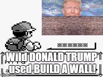 Wild DONALD TRUMP | Wild DONALD TRUMP used BUILD A WALL! | image tagged in pokemon appears,donald trump,memes | made w/ Imgflip meme maker
