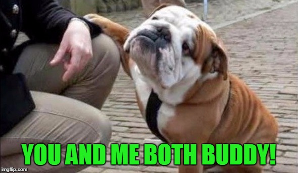 There There Dog | YOU AND ME BOTH BUDDY! | image tagged in there there dog | made w/ Imgflip meme maker