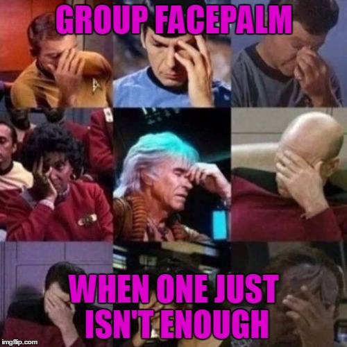 star trek face palm | GROUP FACEPALM; WHEN ONE JUST ISN'T ENOUGH | image tagged in star trek face palm | made w/ Imgflip meme maker