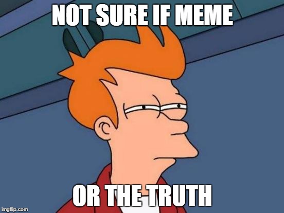 I mean.. It's kinda true. | NOT SURE IF MEME; OR THE TRUTH | image tagged in memes,futurama fry | made w/ Imgflip meme maker