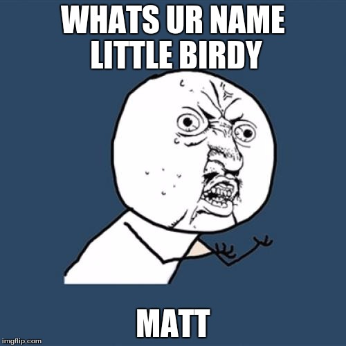 Y U No | WHATS UR NAME LITTLE BIRDY; MATT | image tagged in memes,y u no | made w/ Imgflip meme maker