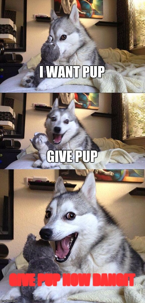 Bad Pun Dog | I WANT PUP; GIVE PUP; GIVE PUP NOW DANGIT | image tagged in memes,bad pun dog | made w/ Imgflip meme maker