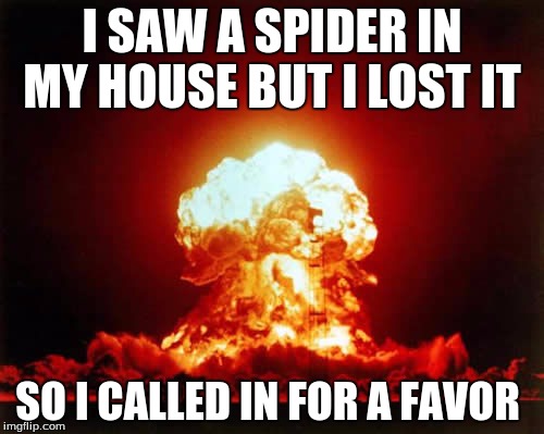 Nuclear Explosion | I SAW A SPIDER IN MY HOUSE BUT I LOST IT SO I CALLED IN FOR A FAVOR | image tagged in memes,nuclear explosion | made w/ Imgflip meme maker