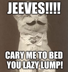 JEEVES!!!! CARY ME TO BED YOU LAZY LUMP! | image tagged in jeeves | made w/ Imgflip meme maker