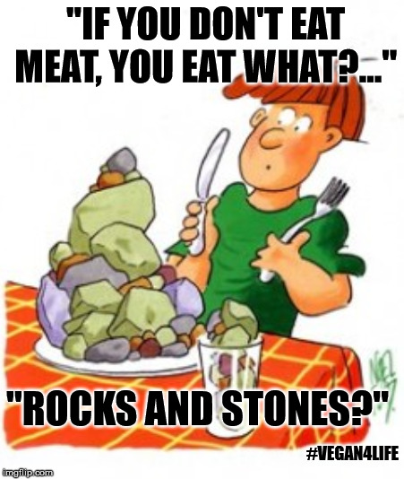 RLF : Rocks Liberation Front !  | "IF YOU DON'T EAT MEAT, YOU EAT WHAT?..."; "ROCKS AND STONES?"; #VEGAN4LIFE | image tagged in memes,funny memes,vegan4life | made w/ Imgflip meme maker