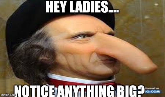 Hey ladies | HEY LADIES.... NOTICE ANYTHING BIG? | image tagged in funny | made w/ Imgflip meme maker