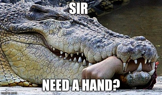 SIR; NEED A HAND? | image tagged in first world problems | made w/ Imgflip meme maker