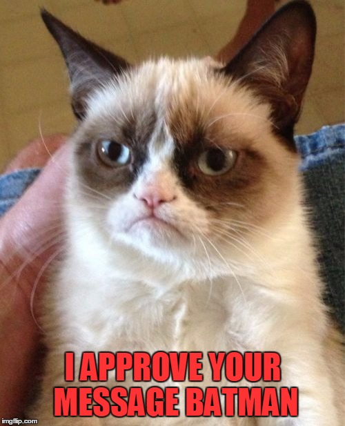 Grumpy Cat Meme | I APPROVE YOUR MESSAGE BATMAN | image tagged in memes,grumpy cat | made w/ Imgflip meme maker