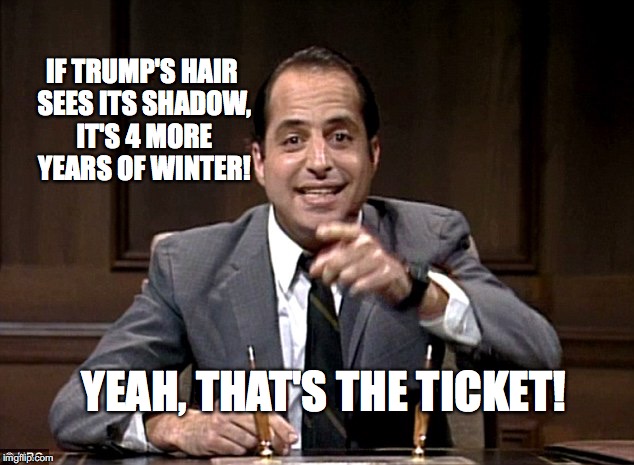 Trump's Hair | IF TRUMP'S HAIR SEES ITS SHADOW, IT'S 4 MORE YEARS OF WINTER! YEAH, THAT'S THE TICKET! | image tagged in john lovitz,donald trump,bobcrespodotcom,hair,groundhog day | made w/ Imgflip meme maker
