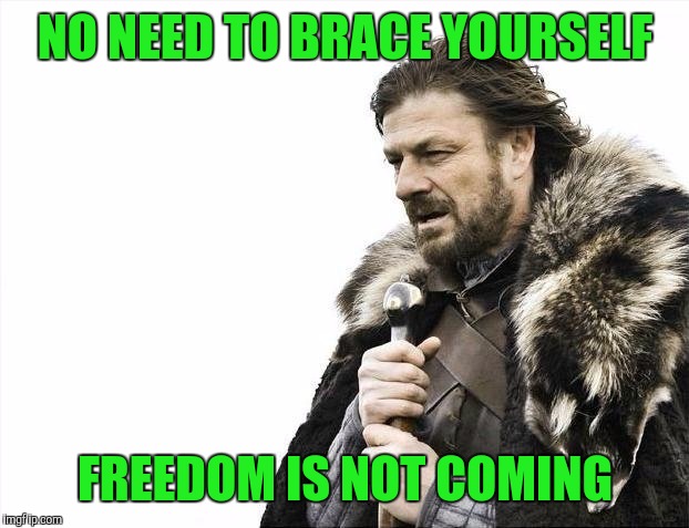 Brace Yourselves X is Coming Meme | NO NEED TO BRACE YOURSELF FREEDOM IS NOT COMING | image tagged in memes,brace yourselves x is coming | made w/ Imgflip meme maker