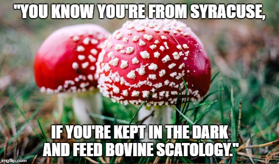 Politics 101 | "YOU KNOW YOU'RE FROM SYRACUSE, IF YOU'RE KEPT IN THE DARK AND FEED BOVINE SCATOLOGY." | image tagged in expo center,amphiltheater,consolidation,destiny | made w/ Imgflip meme maker