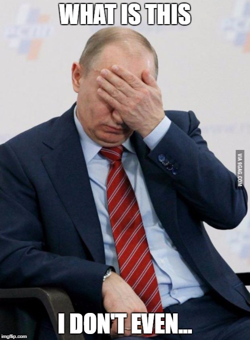 Putin Facepalm | WHAT IS THIS; I DON'T EVEN... | image tagged in putin facepalm | made w/ Imgflip meme maker