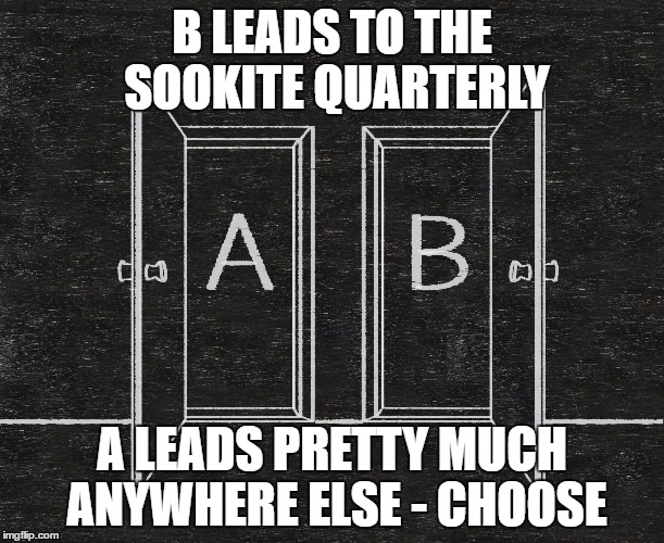 B LEADS TO THE SOOKITE QUARTERLY; A LEADS PRETTY MUCH ANYWHERE ELSE - CHOOSE | image tagged in chose a or b - two doors | made w/ Imgflip meme maker