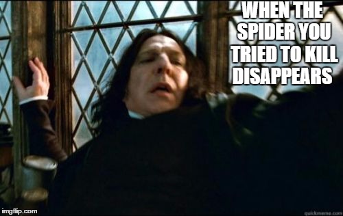 Snape | WHEN THE SPIDER YOU TRIED TO KILL DISAPPEARS | image tagged in memes,snape | made w/ Imgflip meme maker