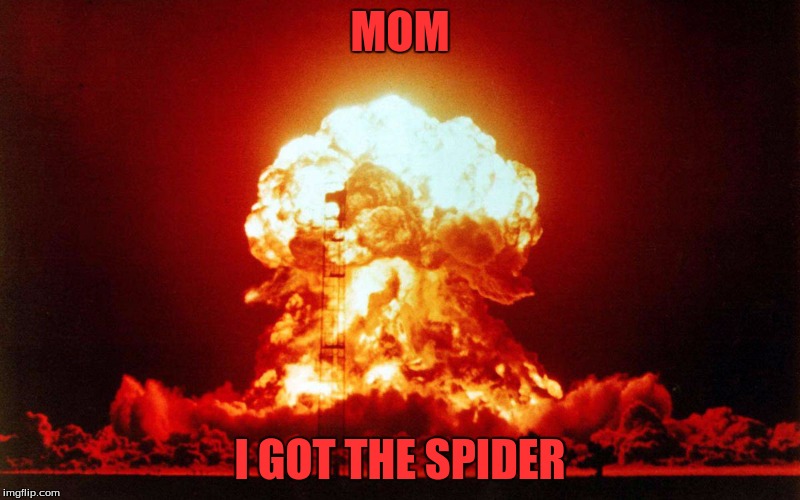 MOM; I GOT THE SPIDER | image tagged in spider,explosion | made w/ Imgflip meme maker