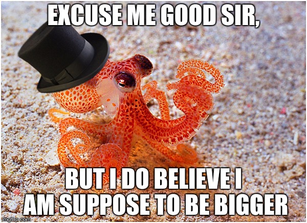 Sir octopus | EXCUSE ME GOOD SIR, BUT I DO BELIEVE I AM SUPPOSE TO BE BIGGER | image tagged in sir octopus | made w/ Imgflip meme maker