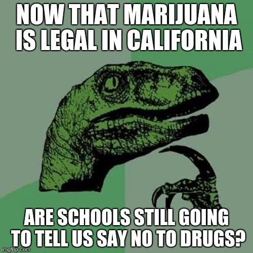 Philosoraptor Meme | NOW THAT MARIJUANA IS LEGAL IN CALIFORNIA; ARE SCHOOLS STILL GOING TO TELL US SAY NO TO DRUGS? | image tagged in memes,philosoraptor | made w/ Imgflip meme maker