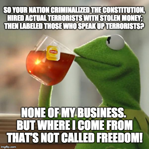 None of my business. | SO YOUR NATION CRIMINALIZED THE CONSTITUTION, HIRED ACTUAL TERRORISTS WITH STOLEN MONEY; THEN LABELED THOSE WHO SPEAK UP TERRORISTS? NONE OF MY BUSINESS. BUT WHERE I COME FROM THAT’S NOT CALLED FREEDOM! | image tagged in memes,but thats none of my business,kermit the frog | made w/ Imgflip meme maker