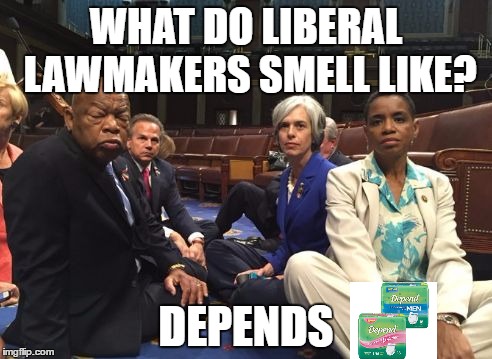 WHAT DO LIBERAL LAWMAKERS SMELL LIKE? DEPENDS | image tagged in congress | made w/ Imgflip meme maker