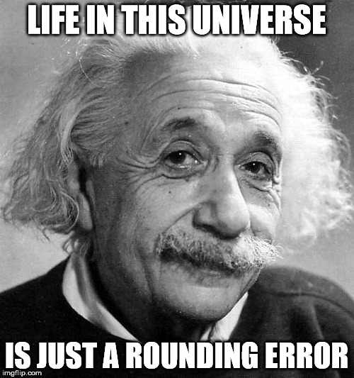 LIFE IN THIS UNIVERSE IS JUST A ROUNDING ERROR | made w/ Imgflip meme maker