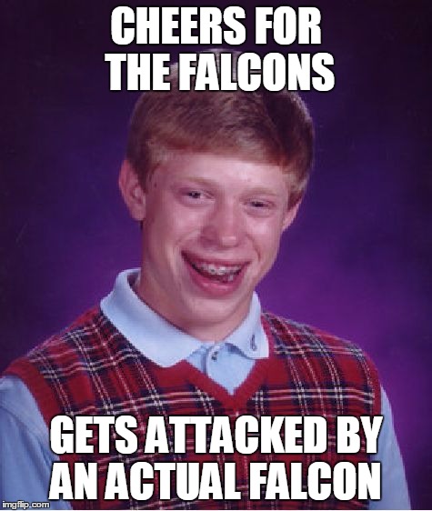 Bad Luck Brian Meme | CHEERS FOR THE FALCONS GETS ATTACKED BY AN ACTUAL FALCON | image tagged in memes,bad luck brian | made w/ Imgflip meme maker